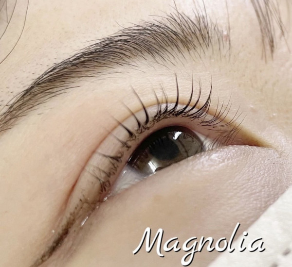 Magnolia | 