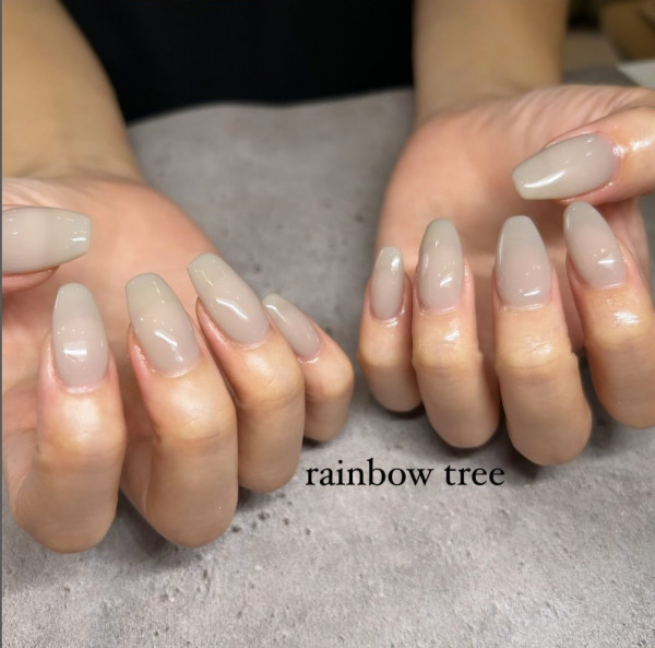 RAINBOW TREE | シアーグレー🩶艶々が🤤♡