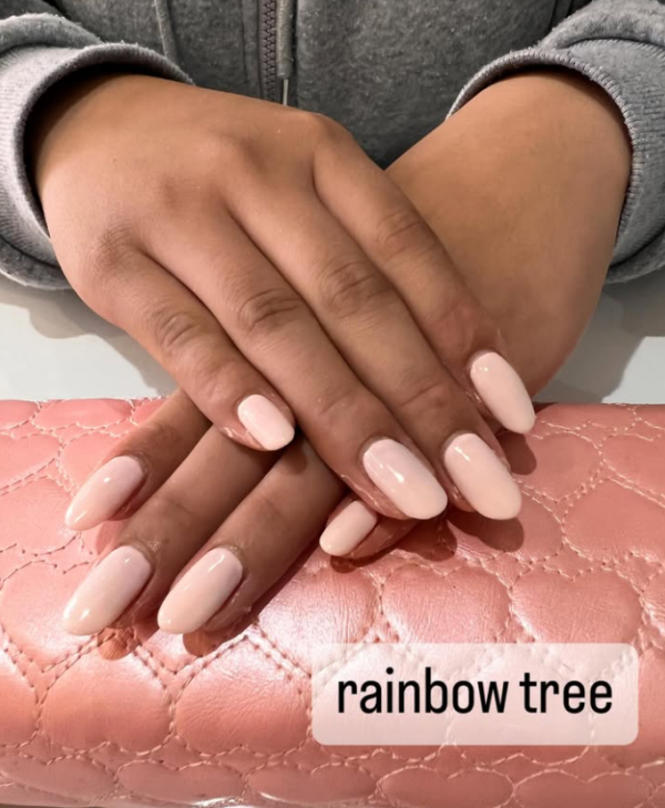 RAINBOW TREE | 
