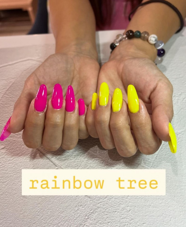 RAINBOW TREE | オンカラー❤️