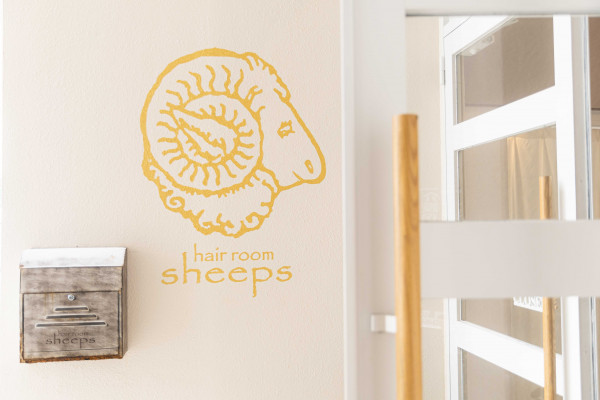 hair room sheeps | 