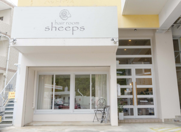 hair room sheeps | 