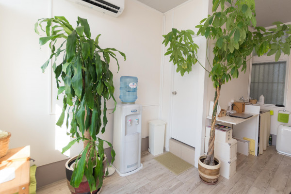 宇地泊の整体院　A room | 店内には観葉植物がたくさん！