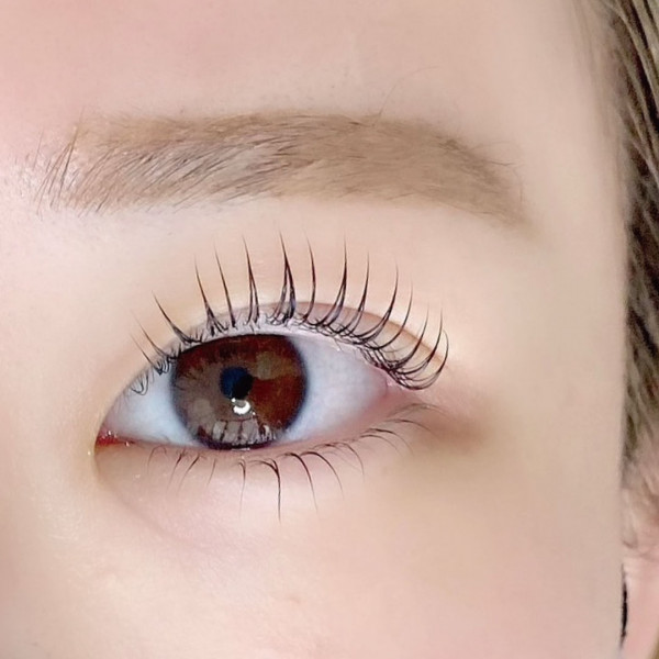 BELLA LUNA eye collection おもろまち店 | ラッシュリフト上下