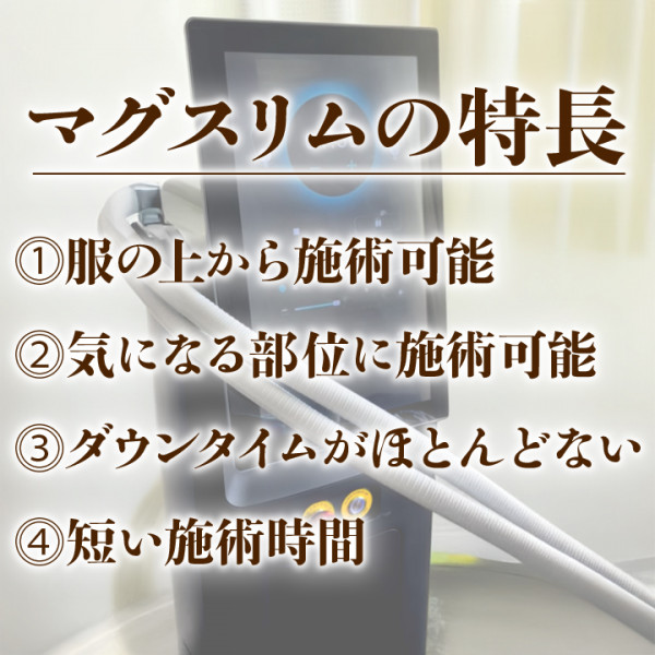 Bel Avenir | マグスリムの特長について